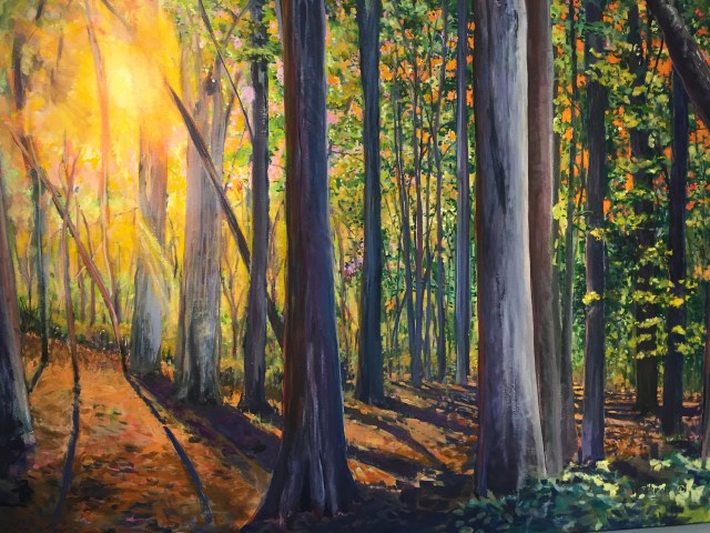 North Carolina Botanical Garden