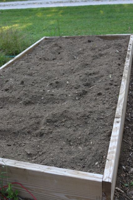 Empty raised beds