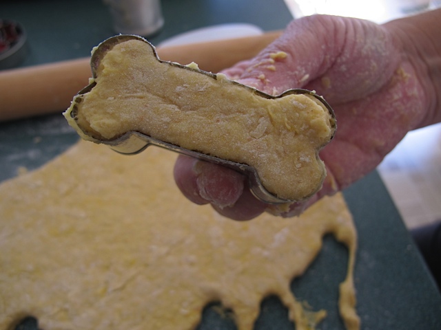 dog treats, prudent living