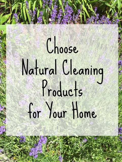 Choose Natural Cleaning Products for Your Home