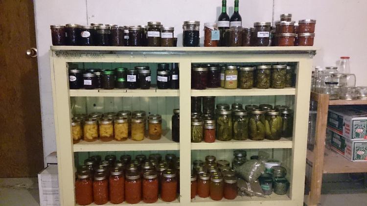 preserving food