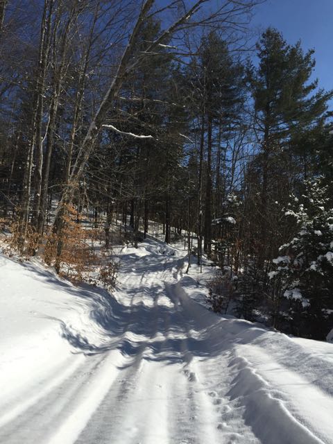 Snowshoeing