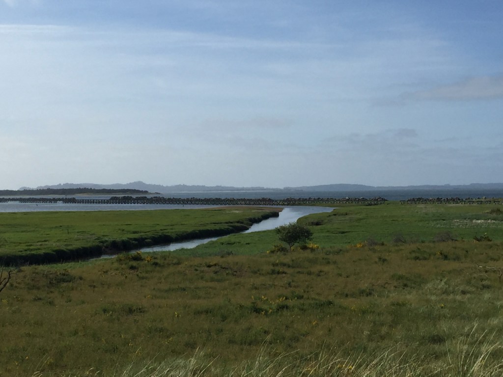 Goal setting is not always easy wen you are in the midst of unpacking!