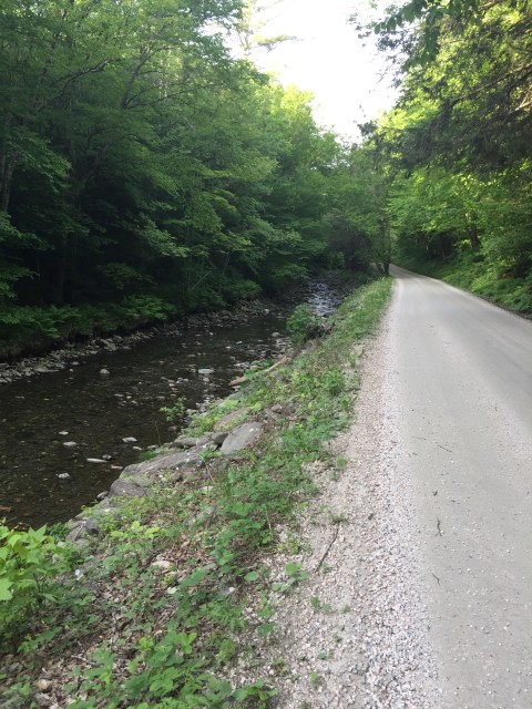 make your own bug spray