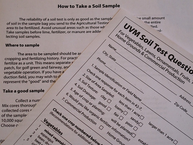 establishing your vegetable garden