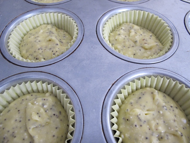 muffin batter, lemon poppy sed muffins