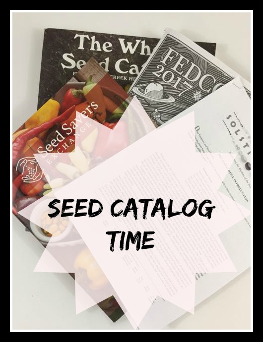seed catalog time