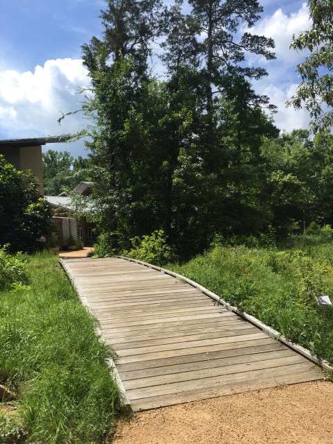 North Carolina Botanical Garden