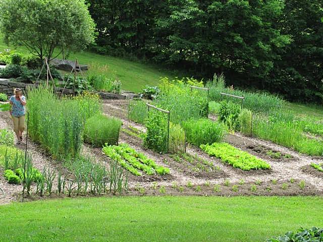 gardening, Vermont