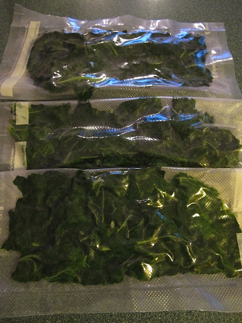 kale, greens, freezing