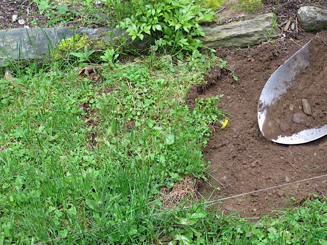 Removing sod gardening, my garden