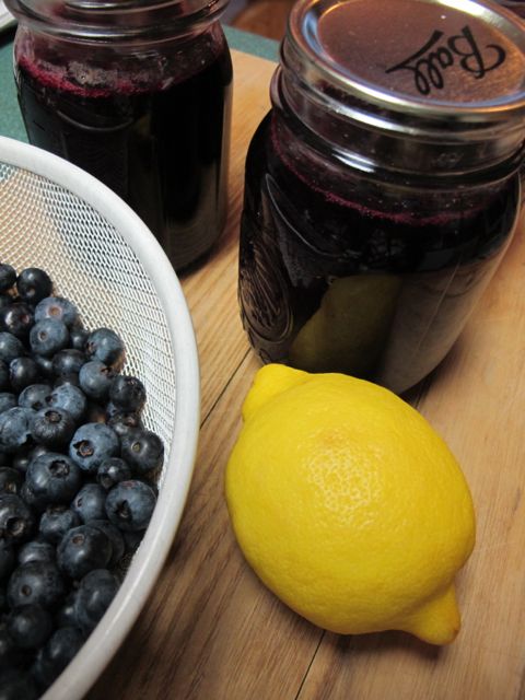 Lemon Blueberry Sauce