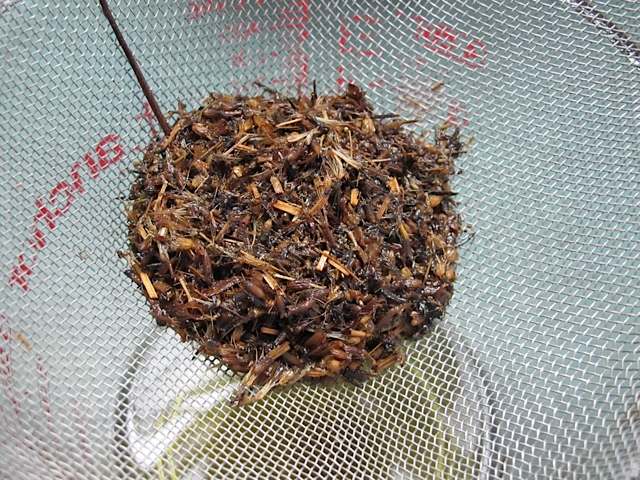 Strain the herbs and discard. herbs, oil, salve