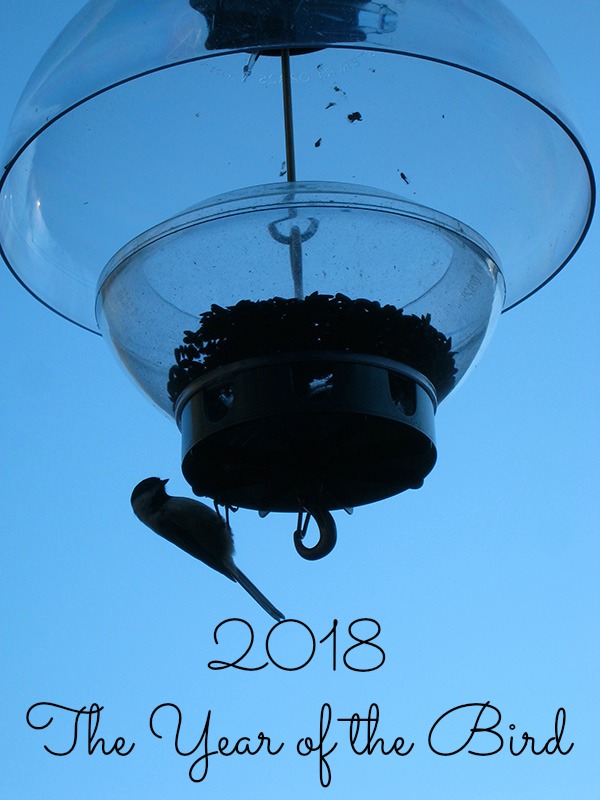 year of the bird