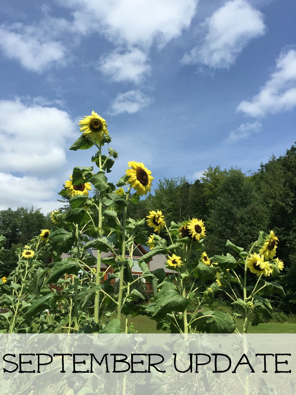 September Update