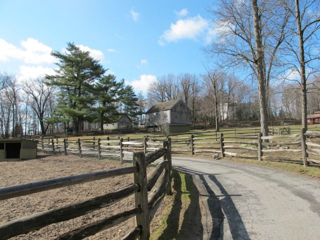 A beautiful spring day.