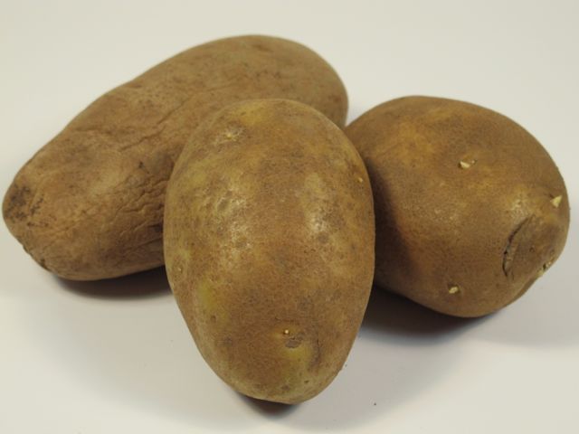 prudent living, recipe box