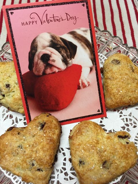 Cranberry Orange Scones