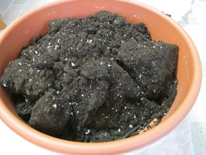 houseplants, repotting, potting soil