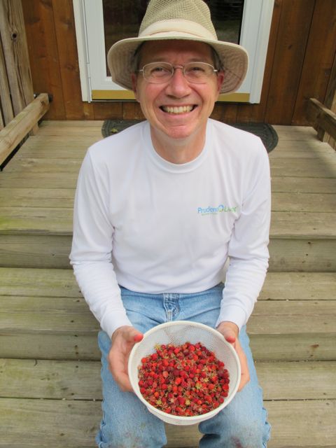 My husband loves wild strawberries!