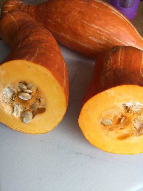 saving Gete okosomin seeds