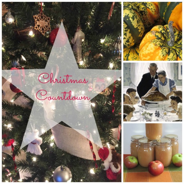 Christmas Countdown2