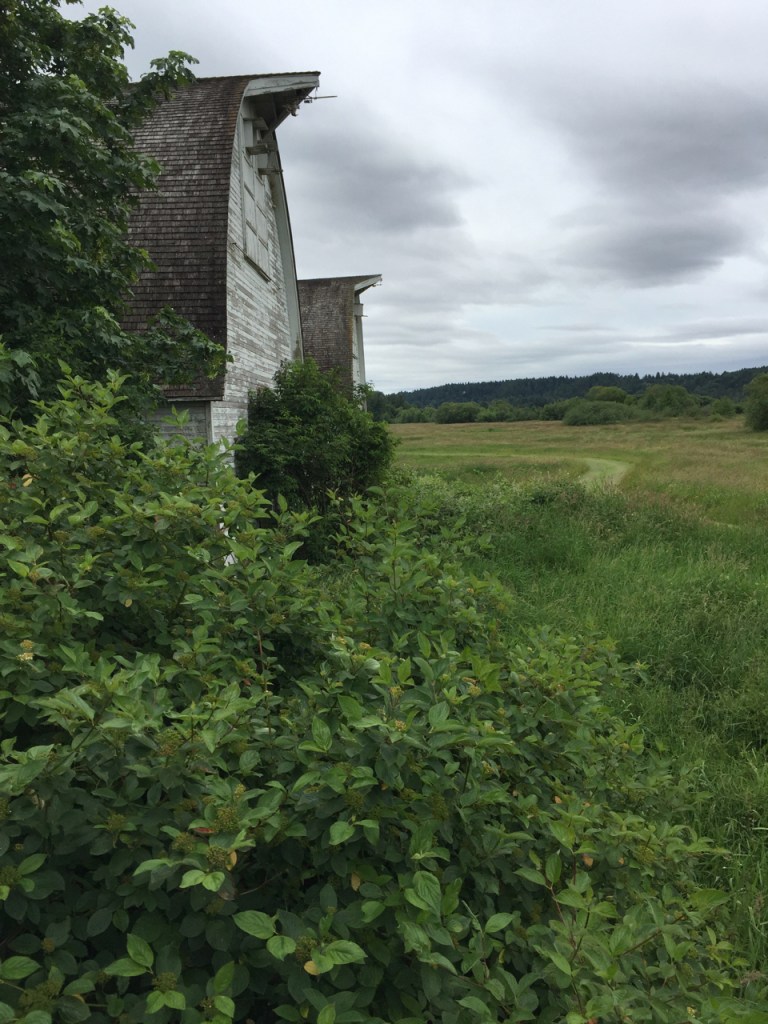 Goal setting is happening but I have to say it is on the back burner, mic more fun exploring the area especially the Farmer's Markets!