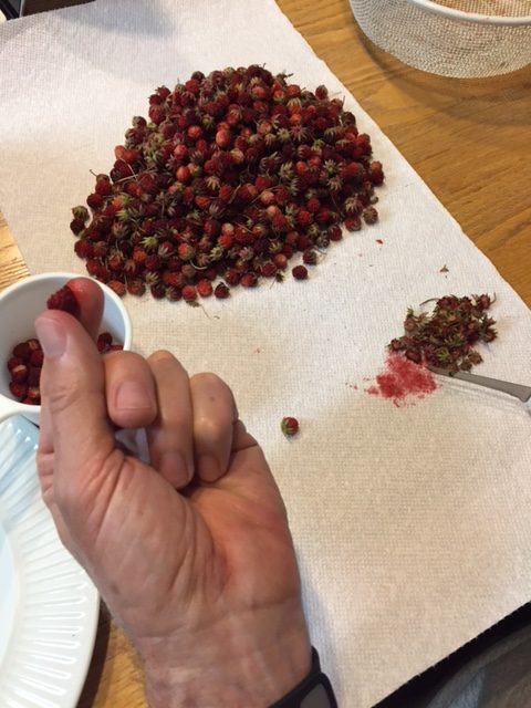 Wild Strawberry Muffins