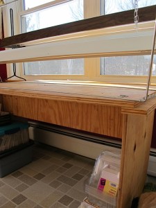 seed starting, gardening