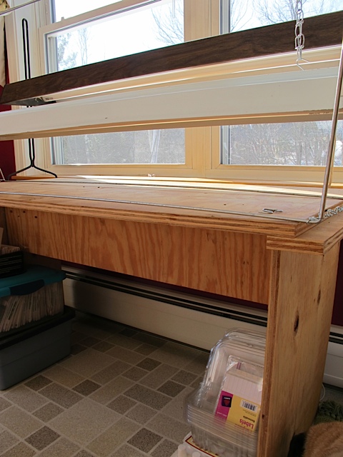 starting seeds Indoors