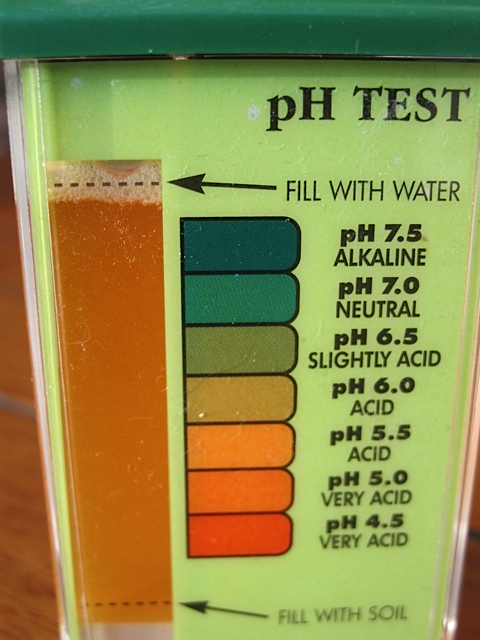 establishing your vegetable garden