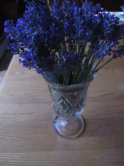 Dried Lavender Flowers dried flowers, lavender