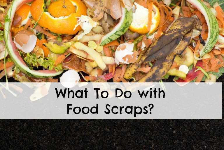 What To do With Food Scraps