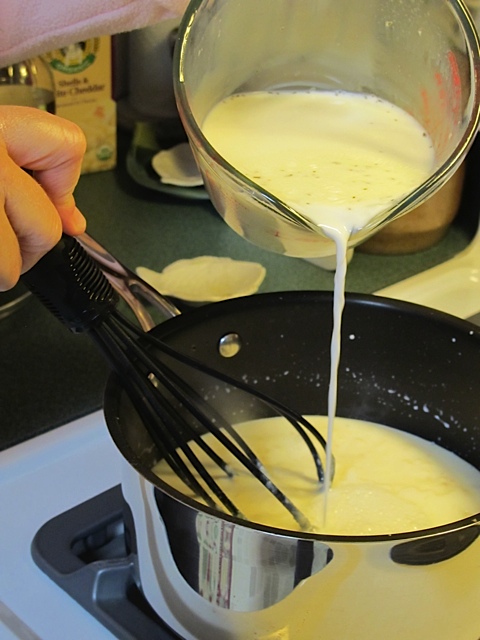 butternut squash lasagna, rous, milk, sauce
