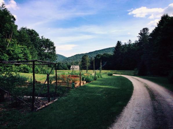 Summer is a magical time.