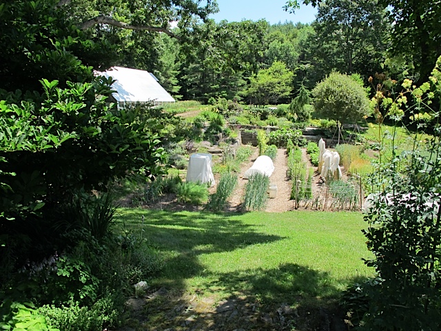 gardens, seed saving, seeds worth saving