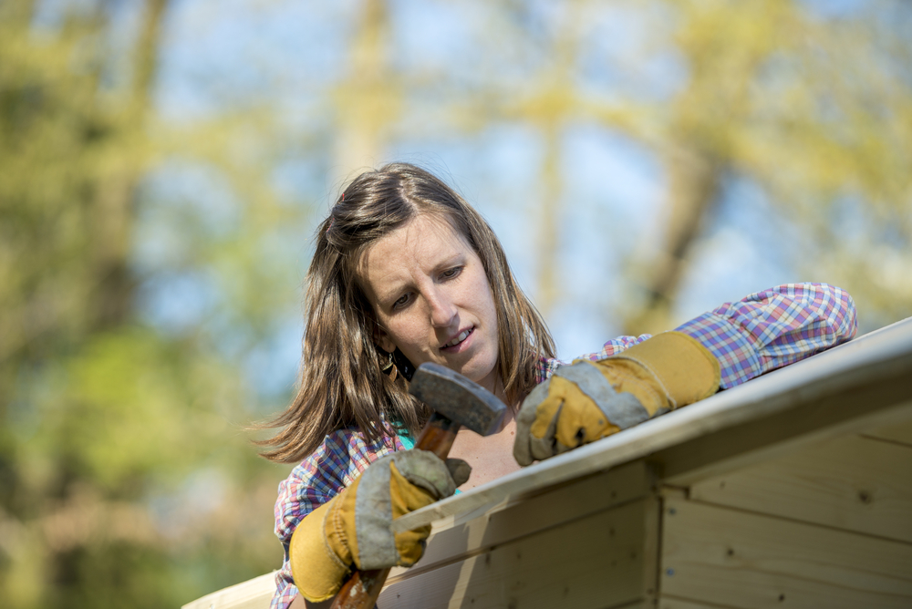 What to do with your shed