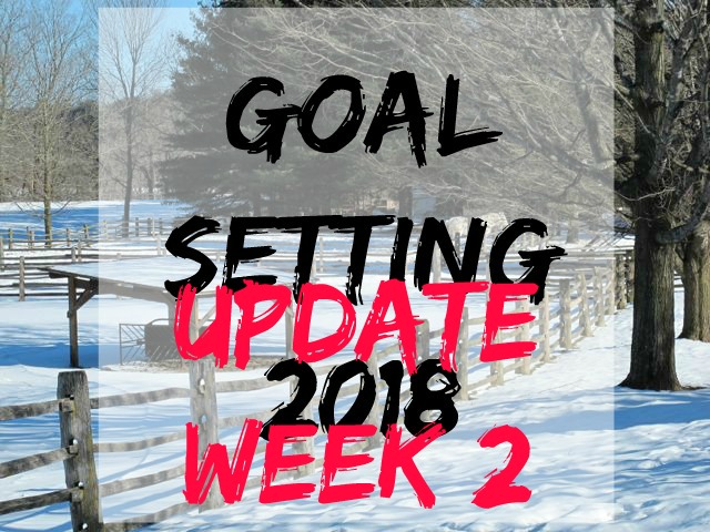 goal-setting week2