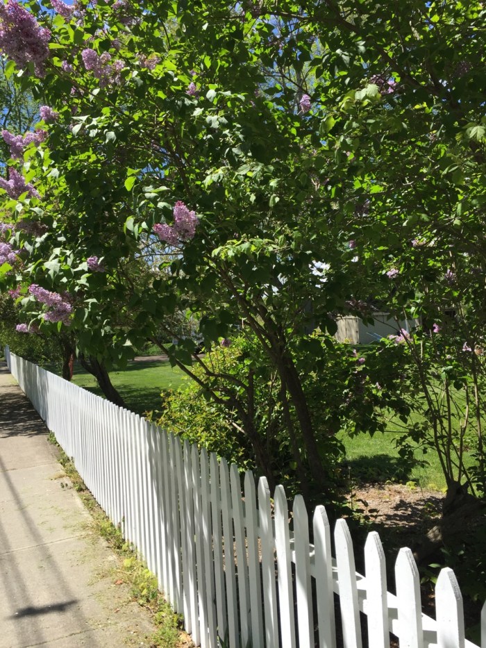 Guilford, Connecticut 