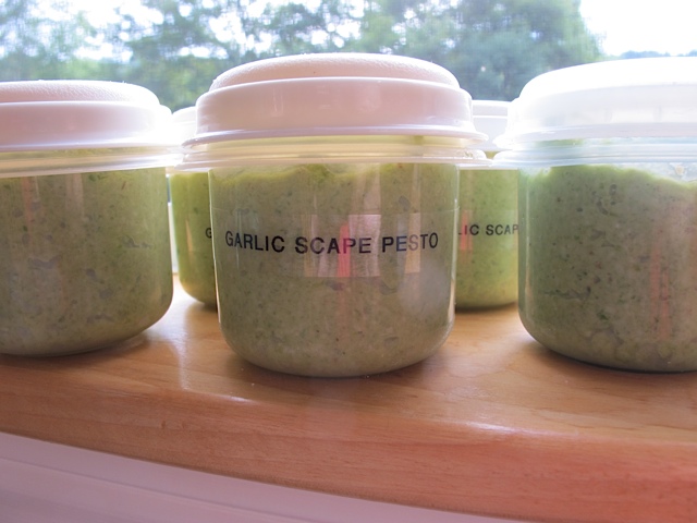 pesto, freezing