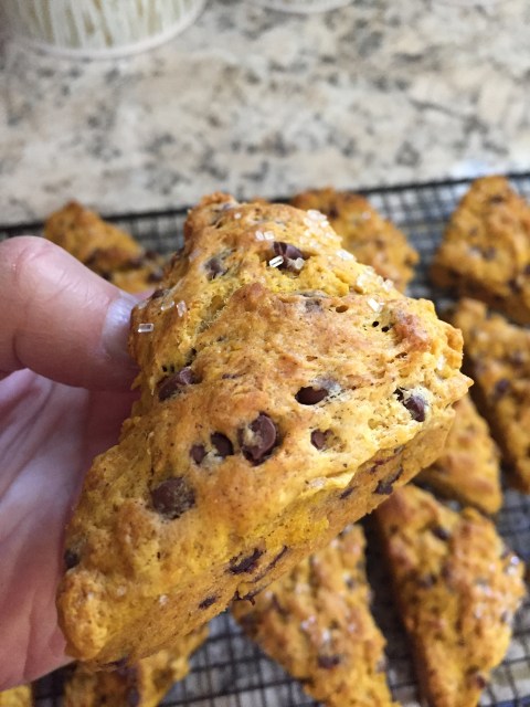 pumpkin scones