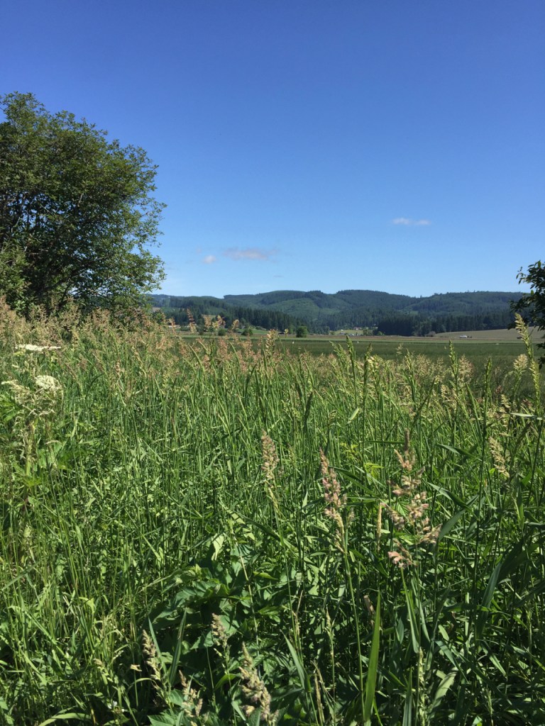 Goal setting is not easy when you have a busy week!