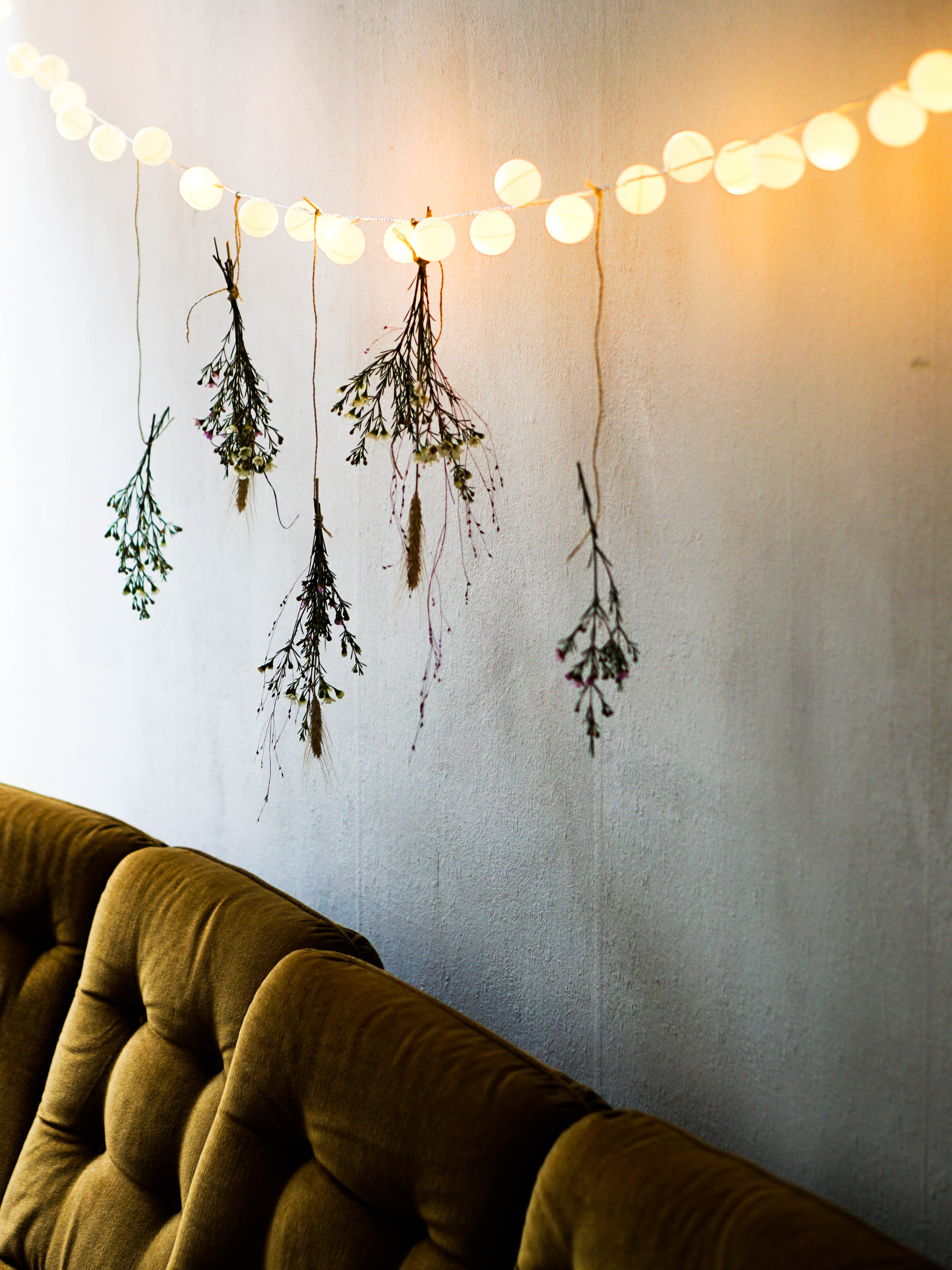 holiday lights