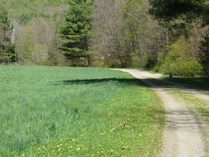 Vermont, spring, prudent living
