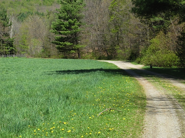 Vermont, spring, prudent living