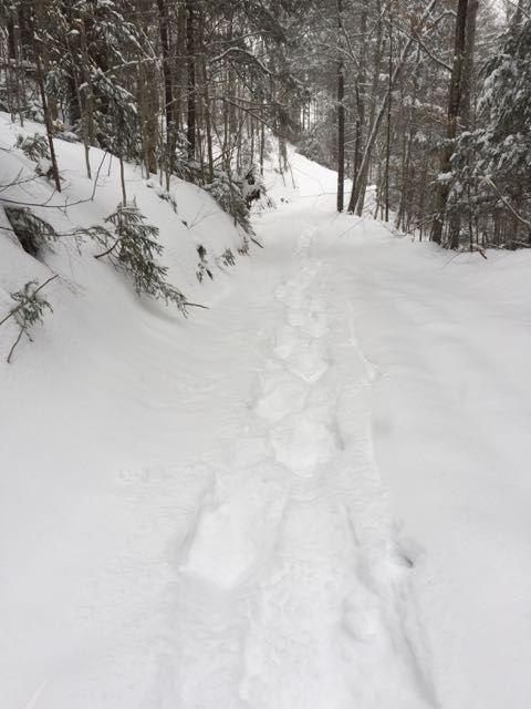 snowshoeing