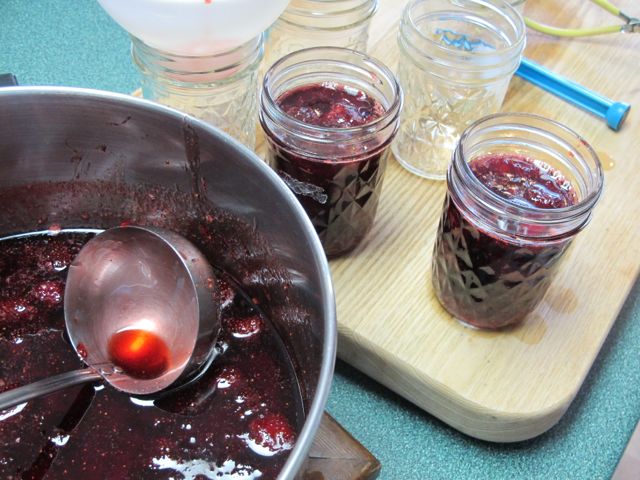 Ladle into clean, hot jars.