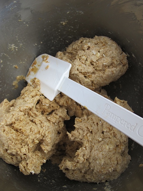 homemade dog biscutis