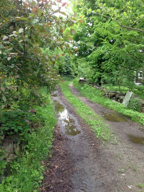 Off the beaten path.