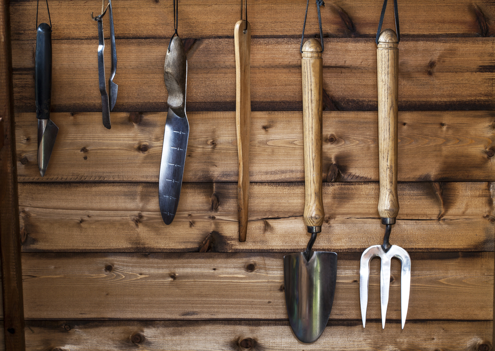 What to do with your shed